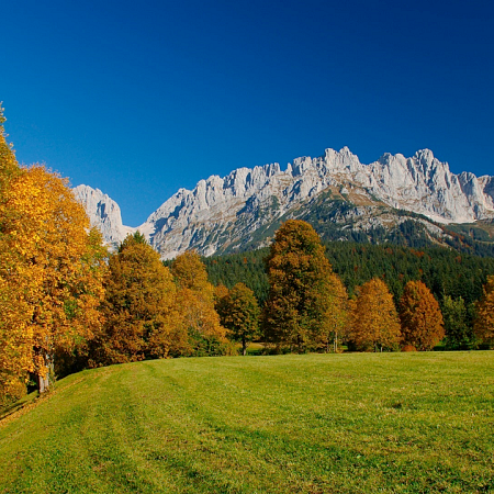 Wohnen am Wilden Kaiser